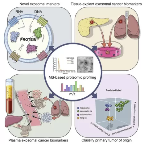 Extracellular Vesicle and Particle Biomarkers Define Multiple Human Cancers (Hoshino, A. et al. 2020)